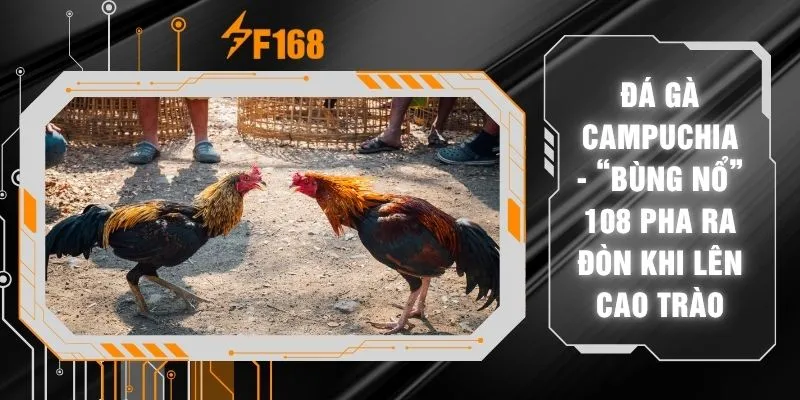 Đá Gà Campuchia - “Bùng Nổ” 108 Pha Ra Đòn Khi Lên Cao Trào