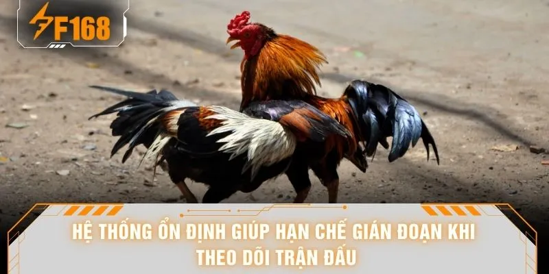 Hệ thống ổn định giúp hạn chế gián đoạn khi theo dõi trận đấu