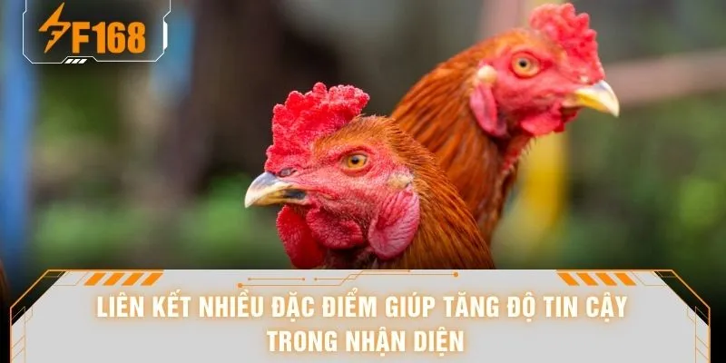 Liên kết nhiều đặc điểm giúp tăng độ tin cậy trong nhận diện
