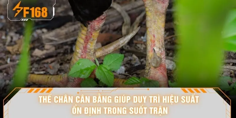 Thế chân cân bằng giúp duy trì hiệu suất ổn định trong suốt trận